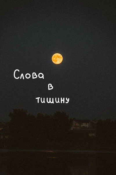 Слова в тишину