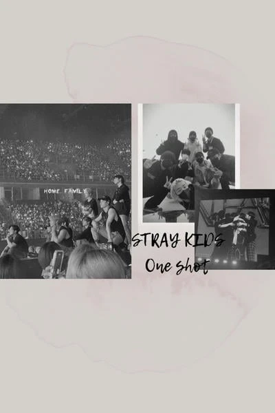 STRAY KIDS one shot