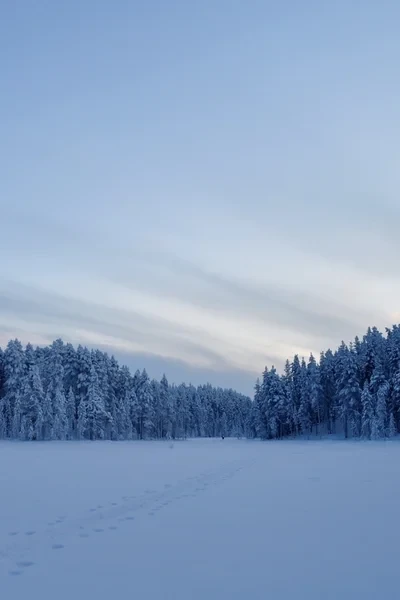 Снежные тропы или всё может быть