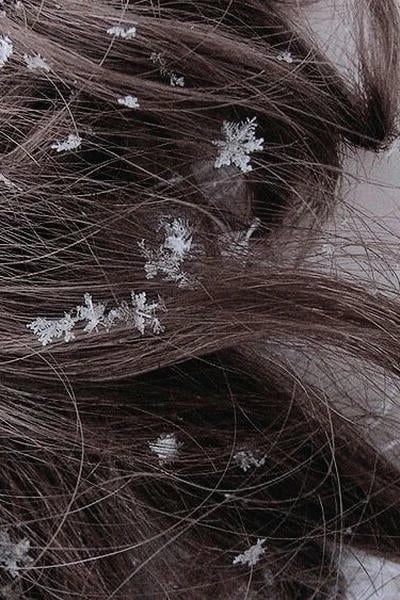 Снежный капкан