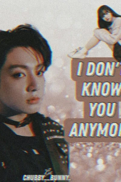 I Don't Know You Anymore