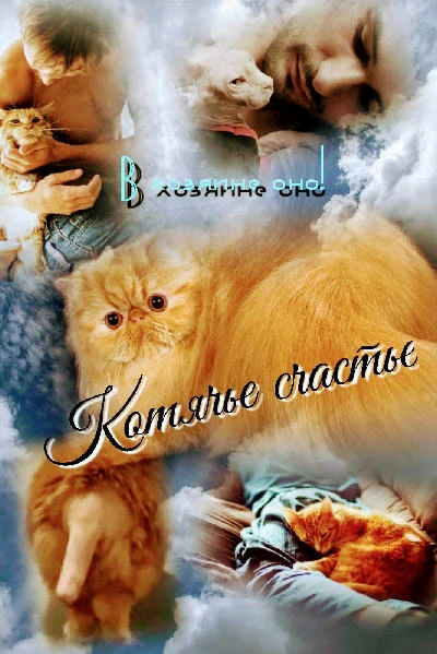 Котячье счастье