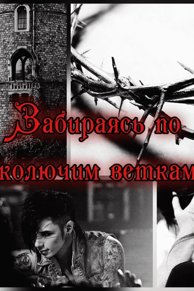 Забираясь по колючим веткам