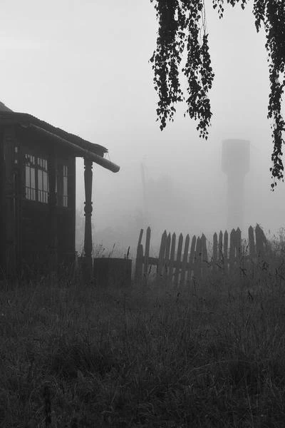 Цена жизни
