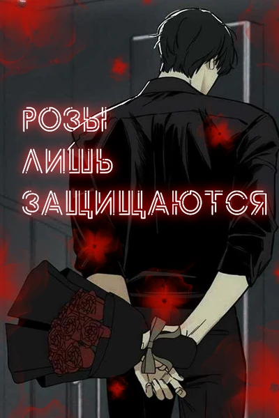 Розы лишь защищаются