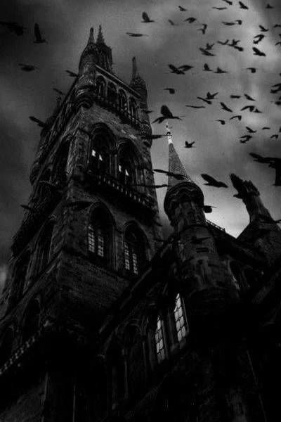 Through the darkness
