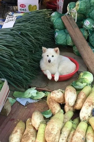 О ненужном богатстве