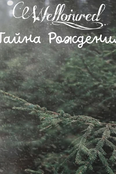 Тайна рождения