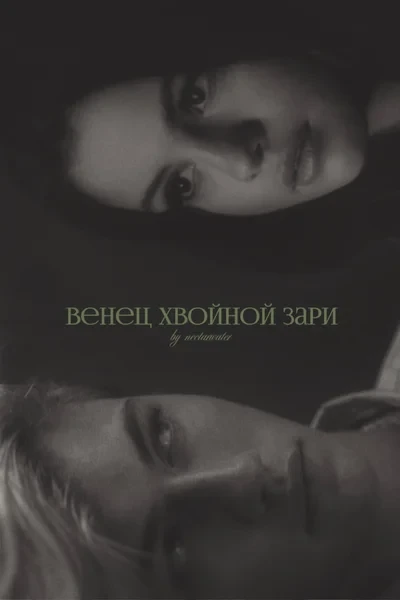 венец хвойной зари