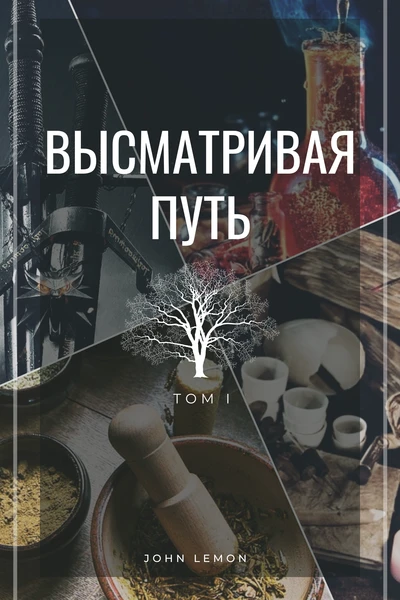Высматривая путь. Том I