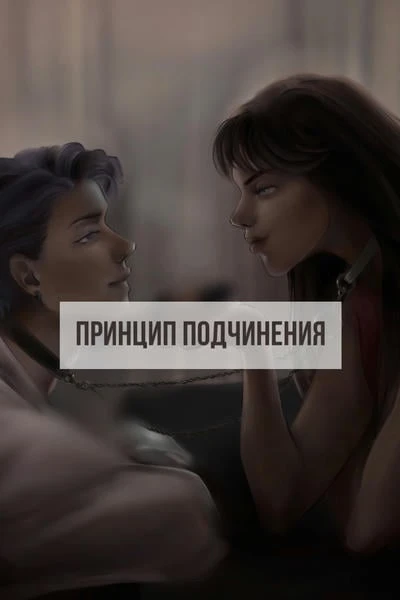 Принцип подчинения