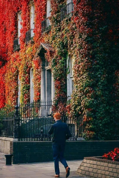 Down St. Stephen's Green