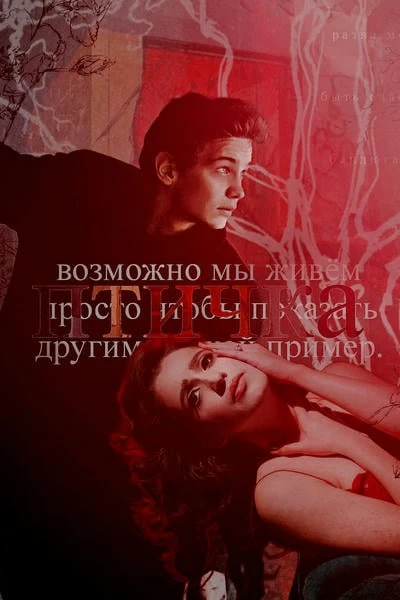 Птичка