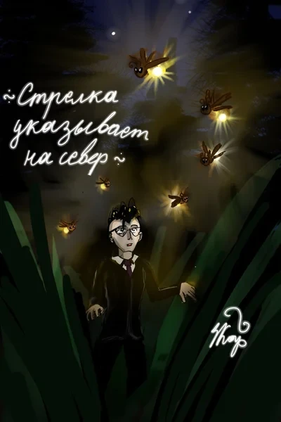 Стрелка указывает на Север