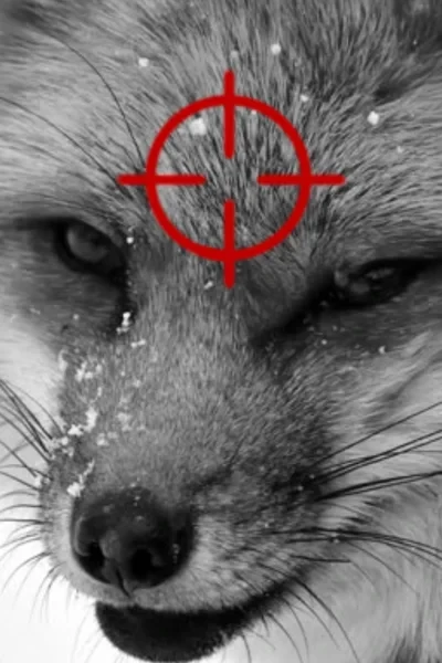 Ложь, под тонким слоем правды