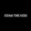 Елизабет Поттер