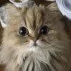 Она пробежала два километра