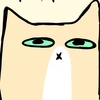 Котостол