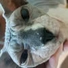 noname.com