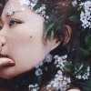 Ilu_Hi