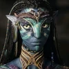 Кошкафурия
