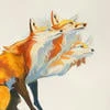 __Fox__6__