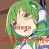 чечвица
