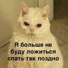 _Тетя Плесень_