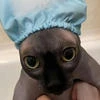 САНЕЧКА СЫНОЧЕК