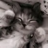 Марианна Мимика
