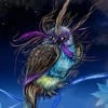SunSet_Owl
