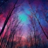 NightRunner