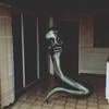 Im a parasite