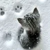 Мне одиноко. Очень. Обнимите меня.