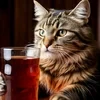 Квасная Кошка