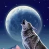666Alone_Wolf779