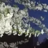 kr.a.gi