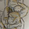Viverna24