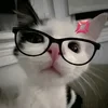 mminnaa