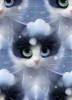 _Ohiko_tyan_