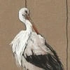 Настя Сельская
