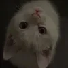 MYAWYYKA