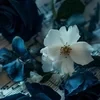 _MillaLa_