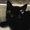 ronika_5377