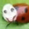 Kyotts