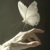 llPapillonll