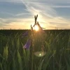 Девушка-Луна