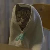 Вырейск-Навский