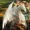 DaryaDragon-888