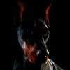Райт14к
